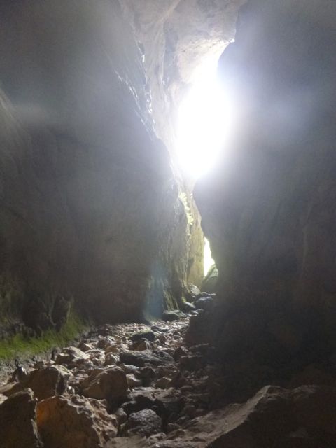 P1030807